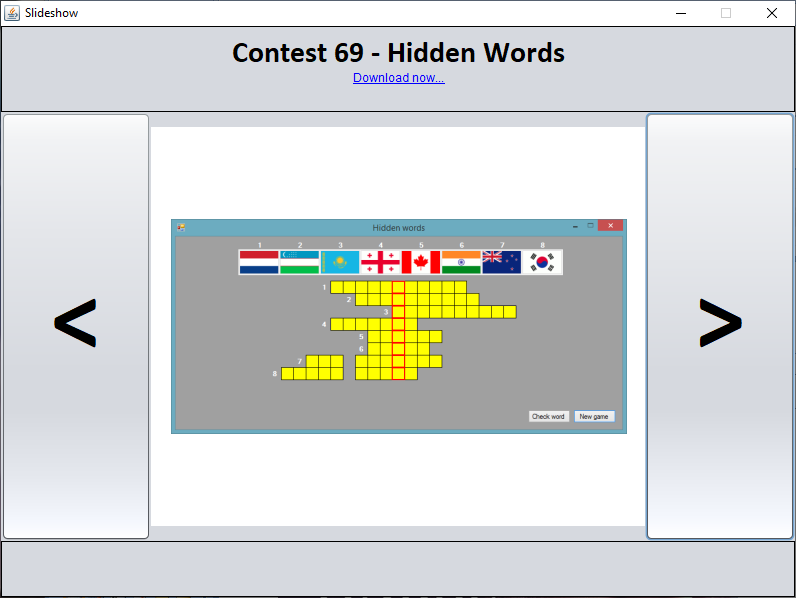 Java - Hidden Words - Flags Game