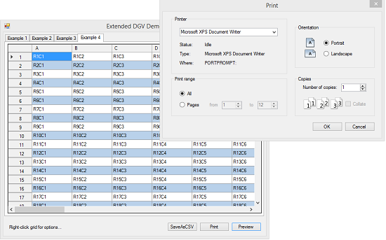 advanced multi-page .Net DGV printing